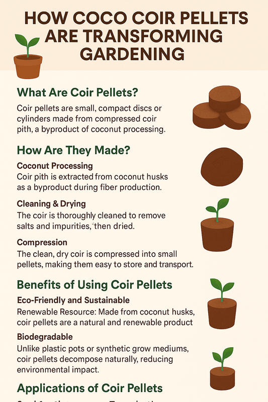 Coir Pellets: A Sustainable Solution for Gardening