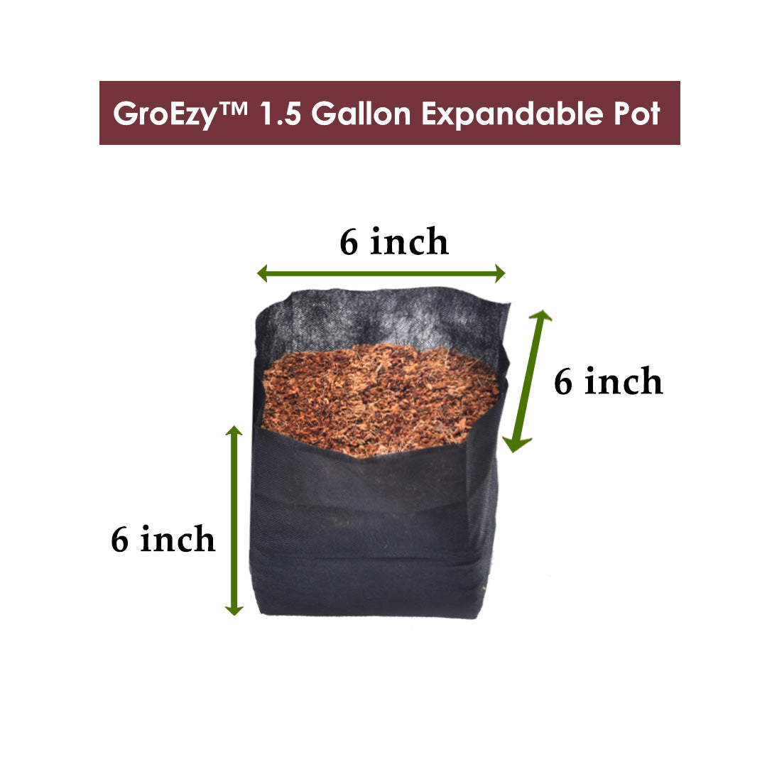 GroEzy™ - 1.5 Gallon Expandable Pot