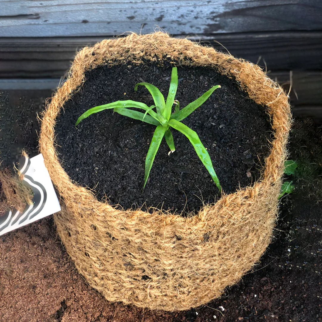 CoirNet 30 Gallon coir pot