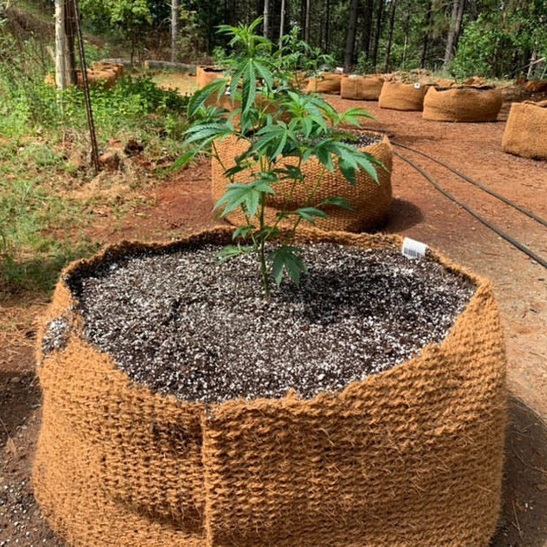 coir plant pots wholesale CoirNet 45 Gallon coir pot