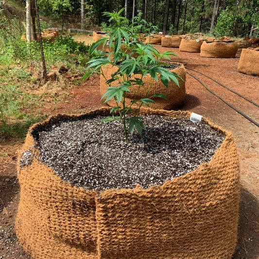 CoirNet 45 Gallon coir pot