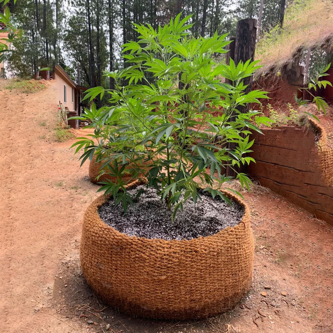 outdoor weed plant pot size CoirNet 500 Gallon pot (5 Pot bundle) – The Coco Depot