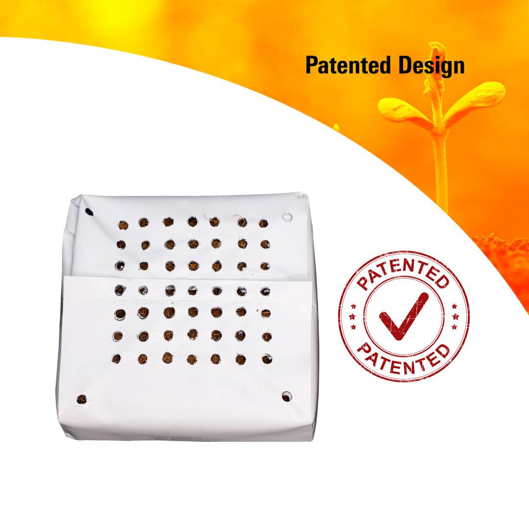 GroEzy™ 1 Gallon Prefilled 70/30 Coco Perlite Grow Bag