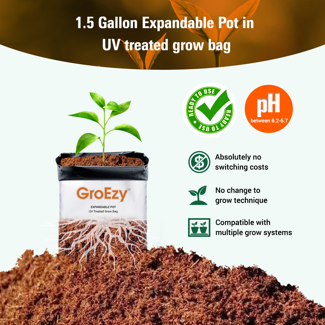GroEzy™ 1.5 Gallon Expandable Pot in UV treated grow bag