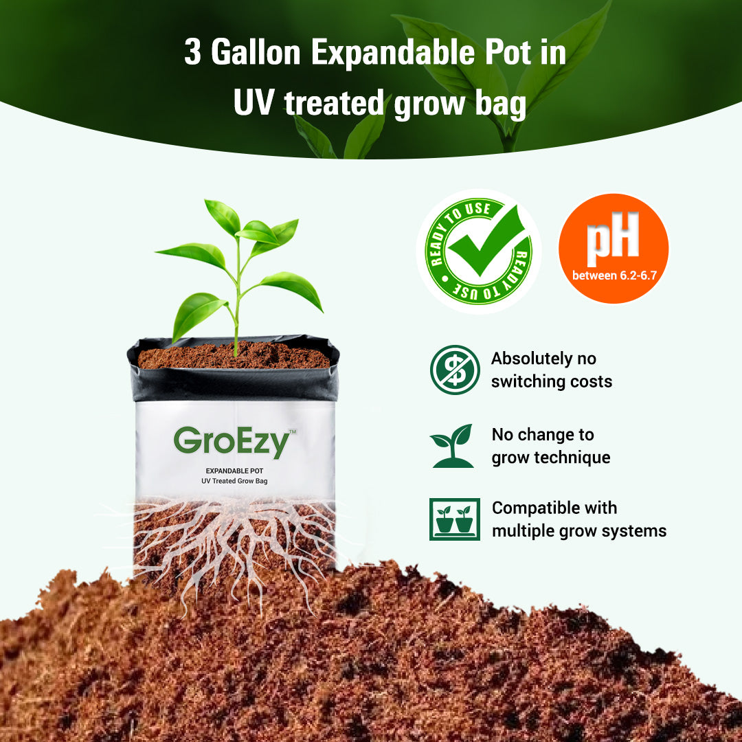 GroEzy™ 3 Gallon Expandable Pot in UV treated grow bag