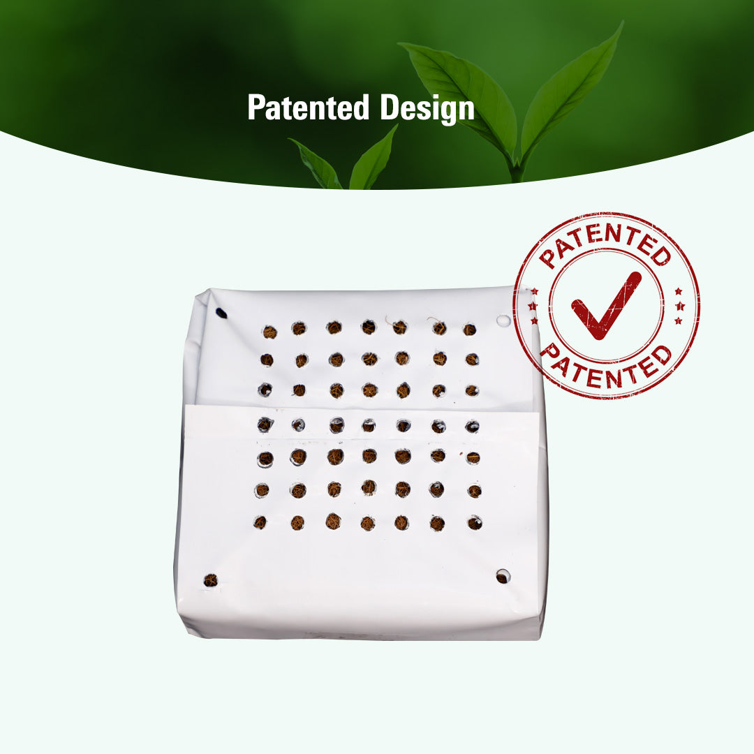 GroEzy™ 3 Gallon Expandable Pot in UV treated grow bag
