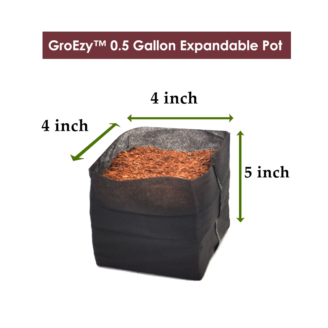 GroEzy™ 1/2 (0.5) Gallon Expandable Pot