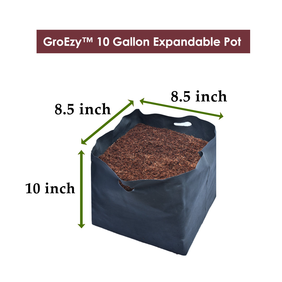 GroEzy™ 10 Gallon Expandable Pot