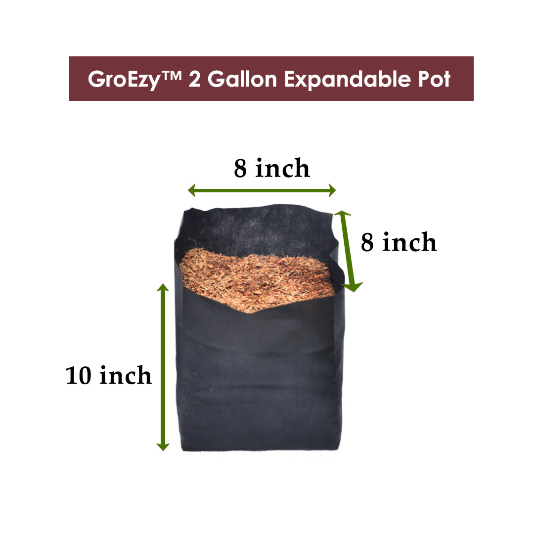 GroEzy™ 2 Gallon Expandable Pot in Fabric bag