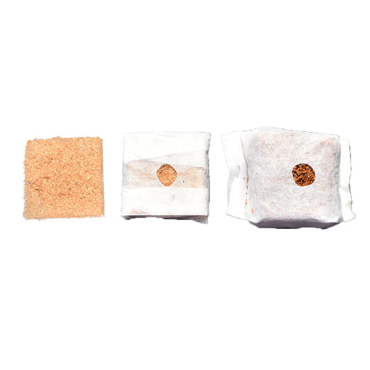 GroEzy™ 3" Coco Grow Cubes