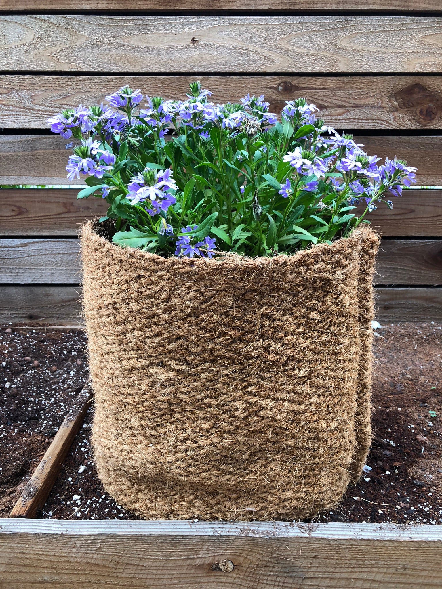 20 gallon pot plant CoirNet 20 Gallon coir pot – The Coco Depot