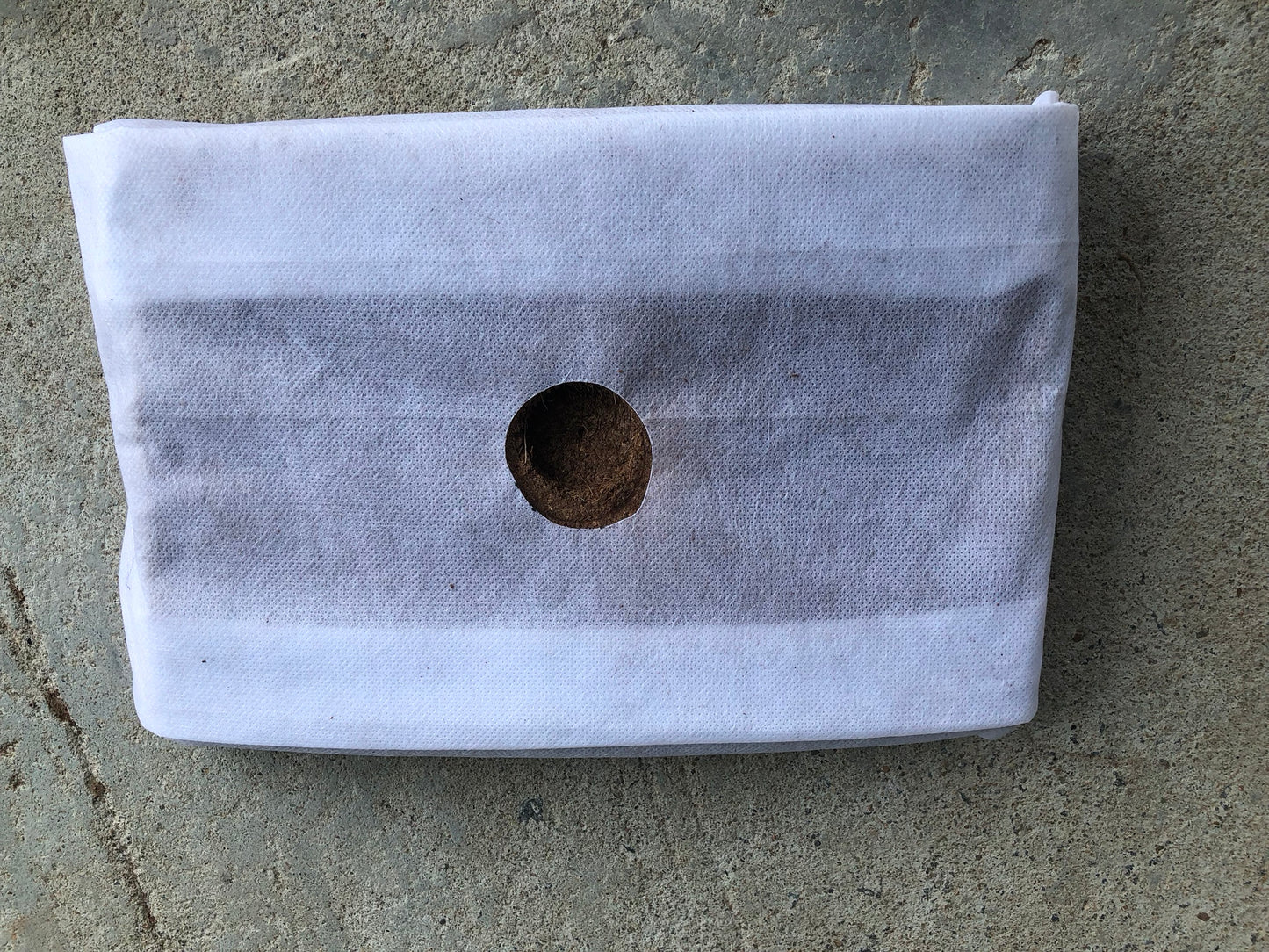 GroEzy™ - 12" Mini Slab Coco Grow block