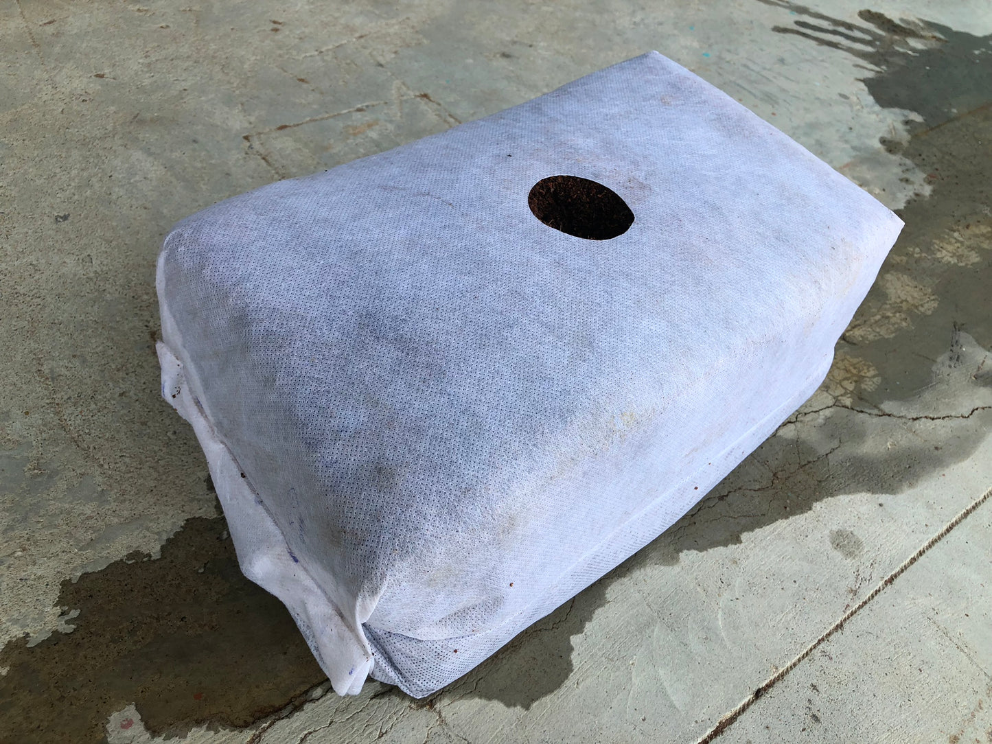 GroEzy™ - 12" Mini Slab Coco Grow block