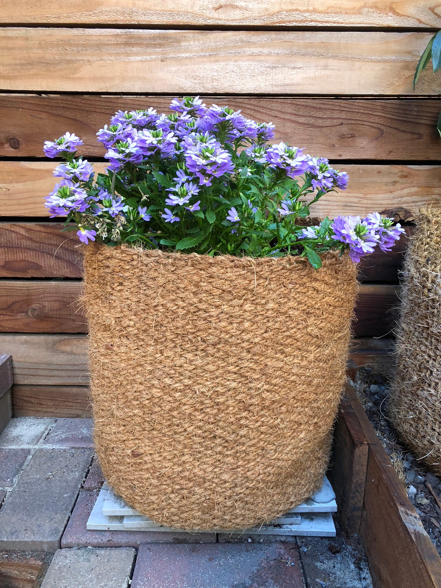 coconut fibre for pot plants CoirNet