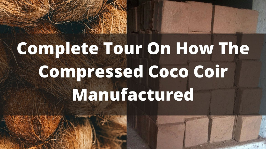 Complete Tour On How The Compressed Coco Coir Manufactured