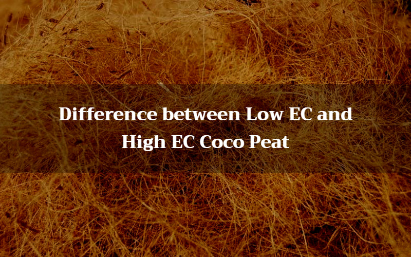 Ec In Coco Not Rising Difference between Low EC and High EC Coco Peat – The Coco Depot