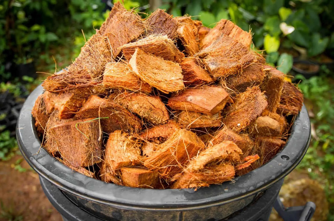 Grow Green & Sustainable: The Advantages of Coco Coir Bricks for Modern Gardening