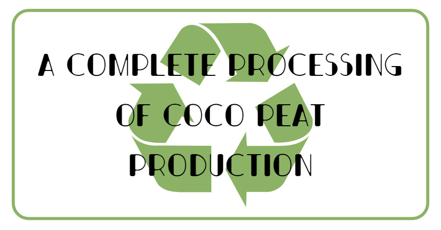 A Complete Processing Guide on Coco Peat Production