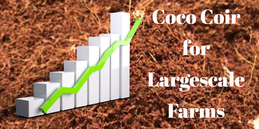 User Guide for Coco Coir for Largescale Farms
