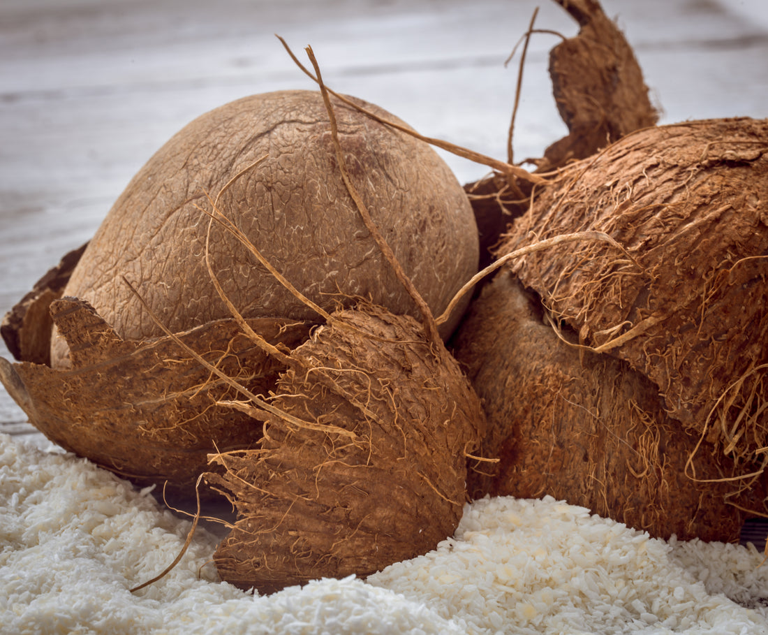 Top 10 Unbelievable Uses of Coconut Fibers
