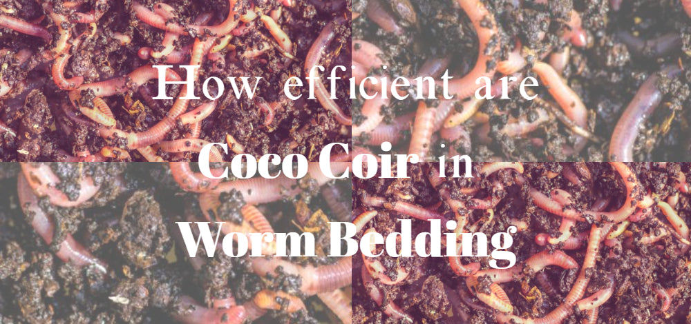 How efficient are the Coco Coir in Worm Bedding