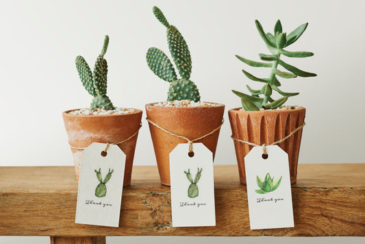 Prepare a Gift for Pro Gardeners