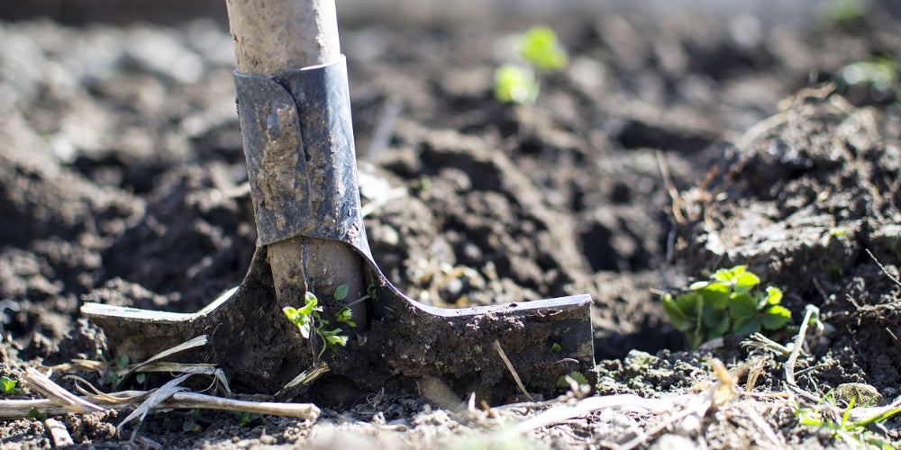 Most Useful Tools for Home Gardening