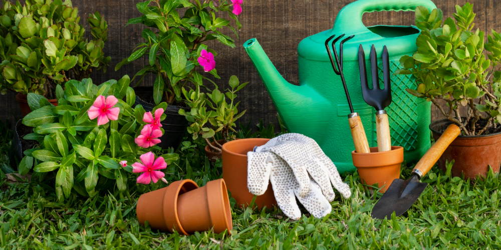 Top 6 Gardening Activities for Kids
