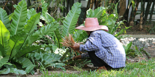 GARDENING BLISS IN HOLIDAY SEASON