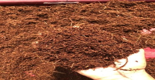Coconut Coir- How is it made & How to use it in Gardening & Horticulture