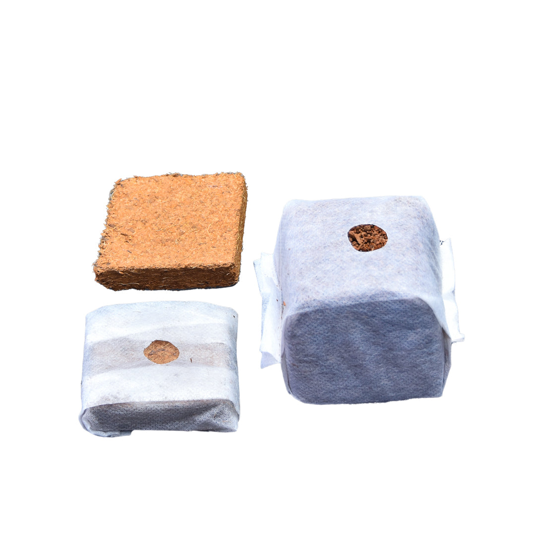GroEzy™ 4" Coco Grow Cubes