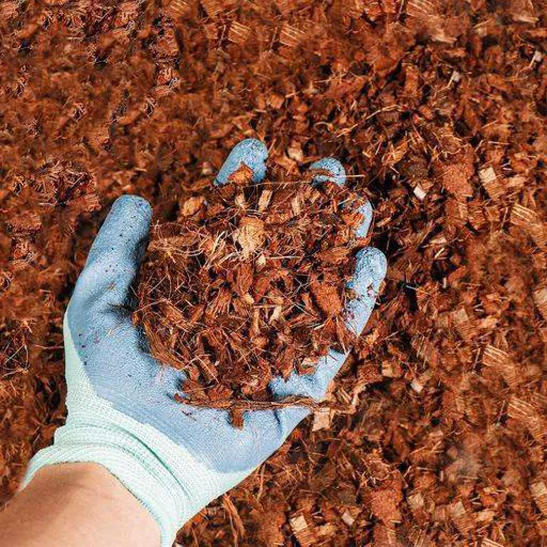 Pure Coco Chips Compressed Chips 650 grams Brick