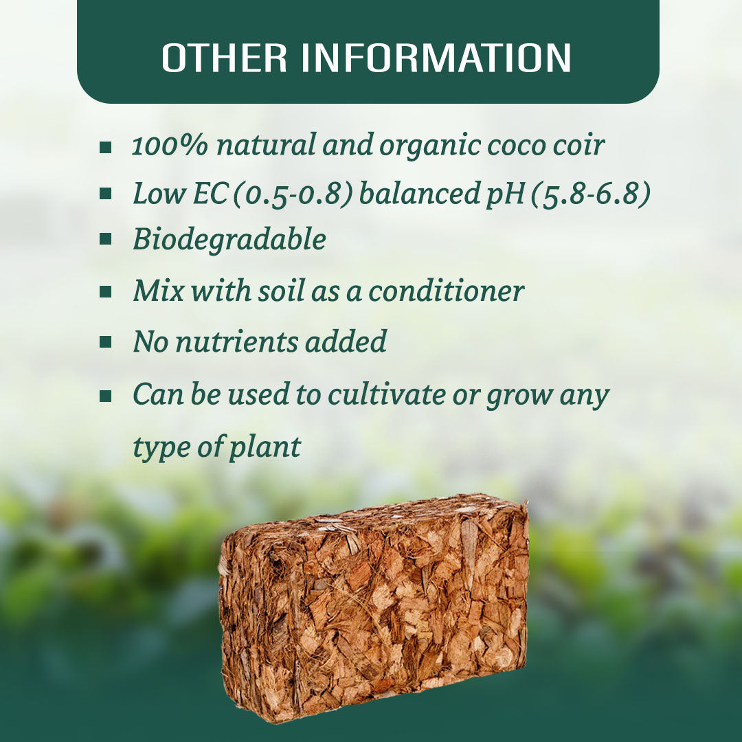 Pure Coco Chips Compressed Chips 650 grams Brick