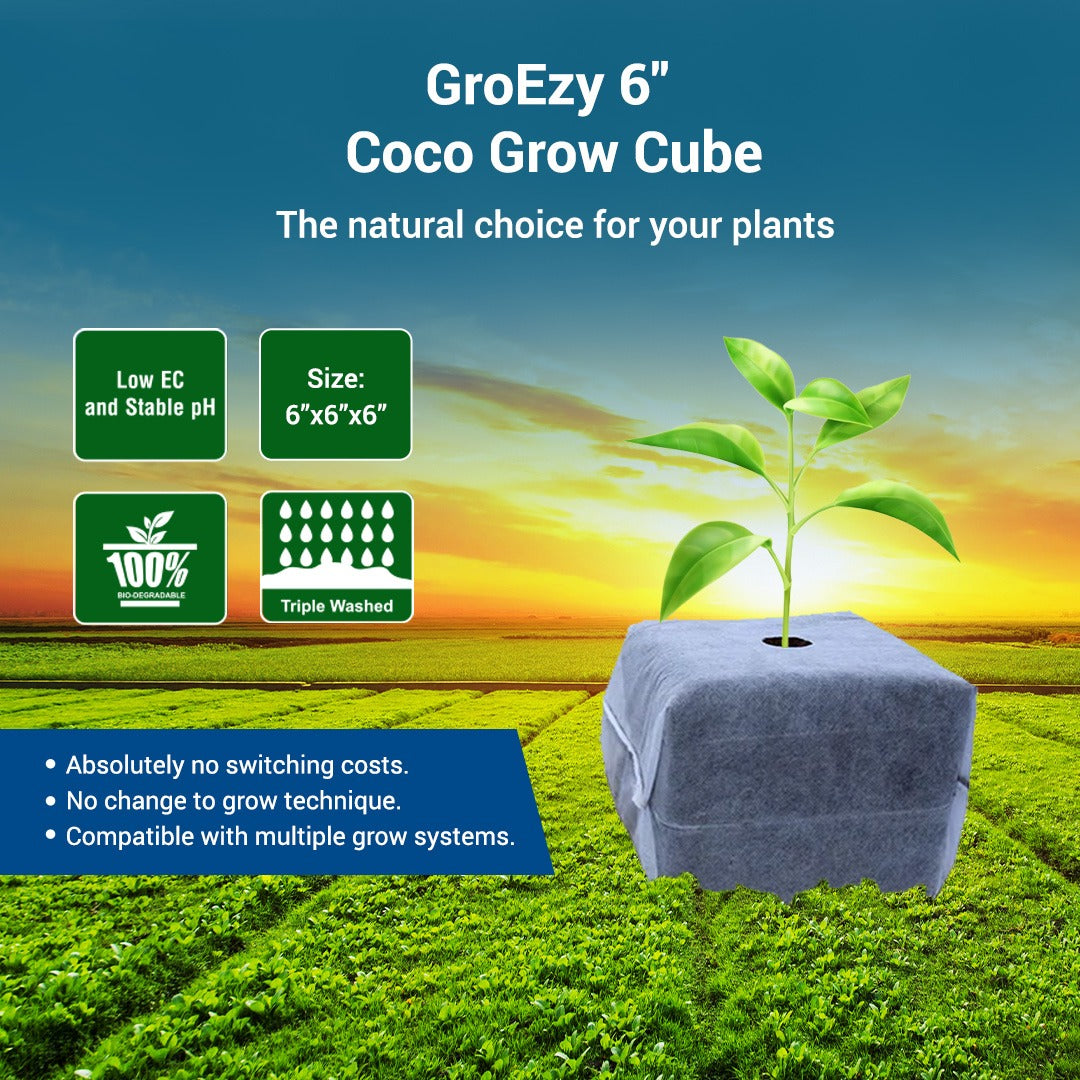 GroEzy™ 6" Coco Grow Cubes