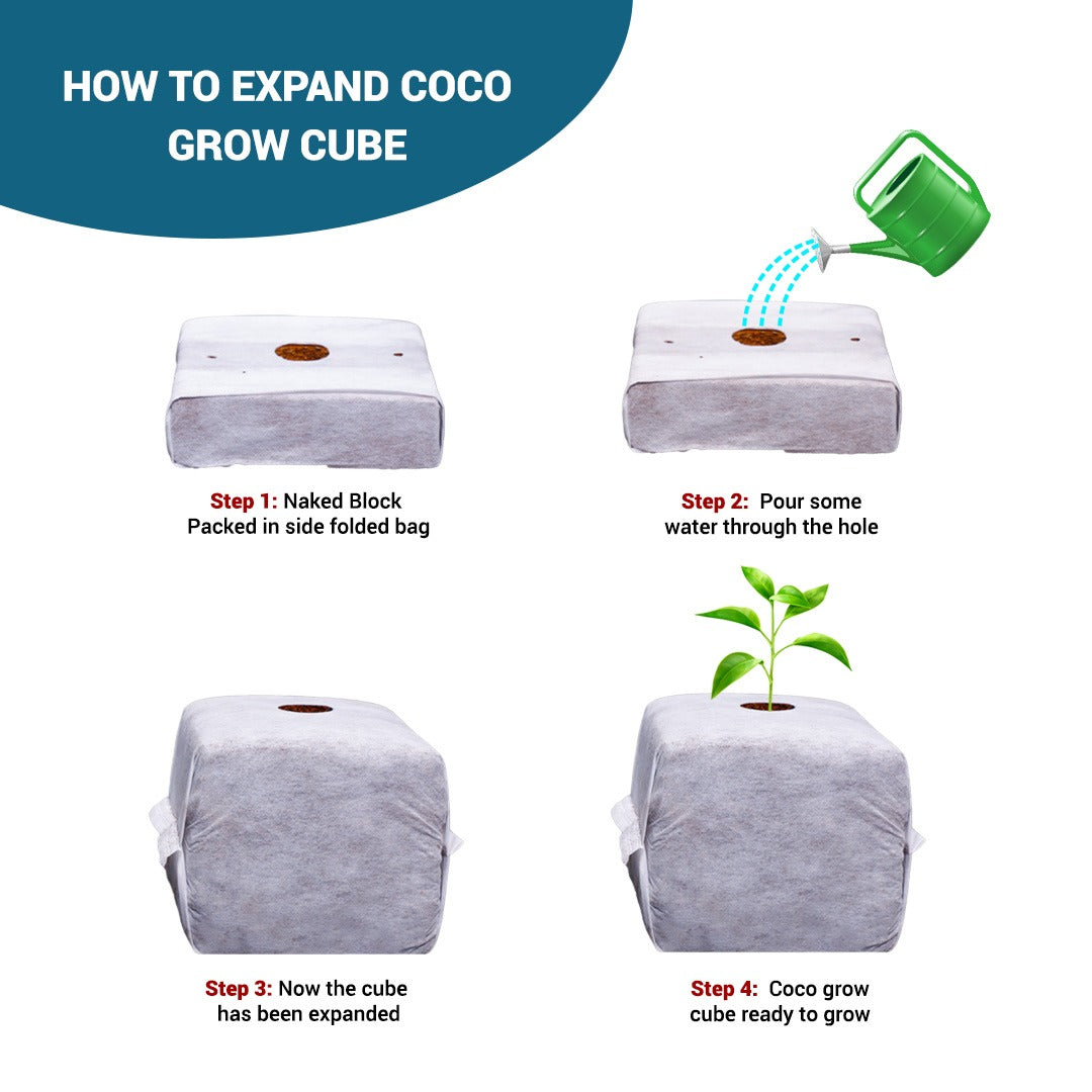 GroEzy™ 6" Coco Grow Cubes