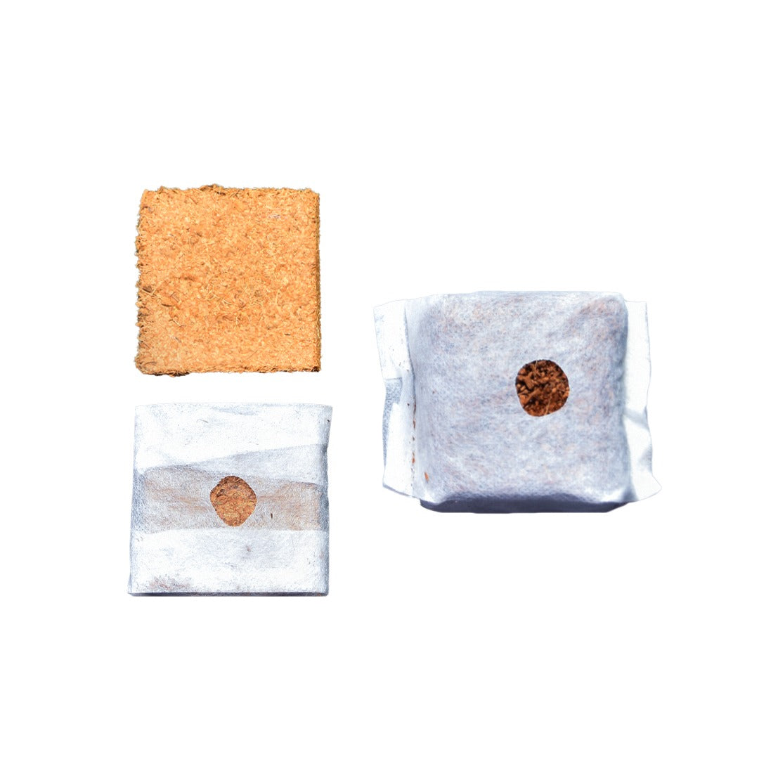 GroEzy™ 6" Coco Grow Cubes