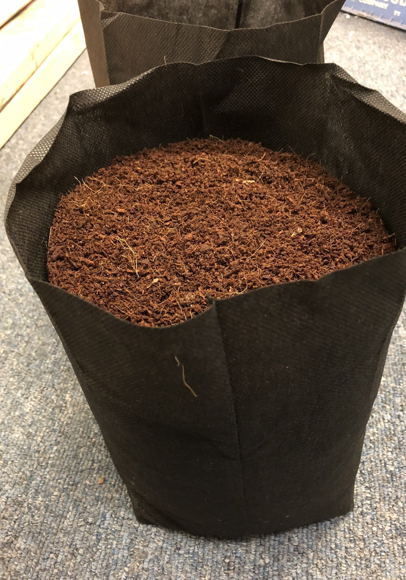 GroEzy™ 2.5 Gallon Expandable Pot