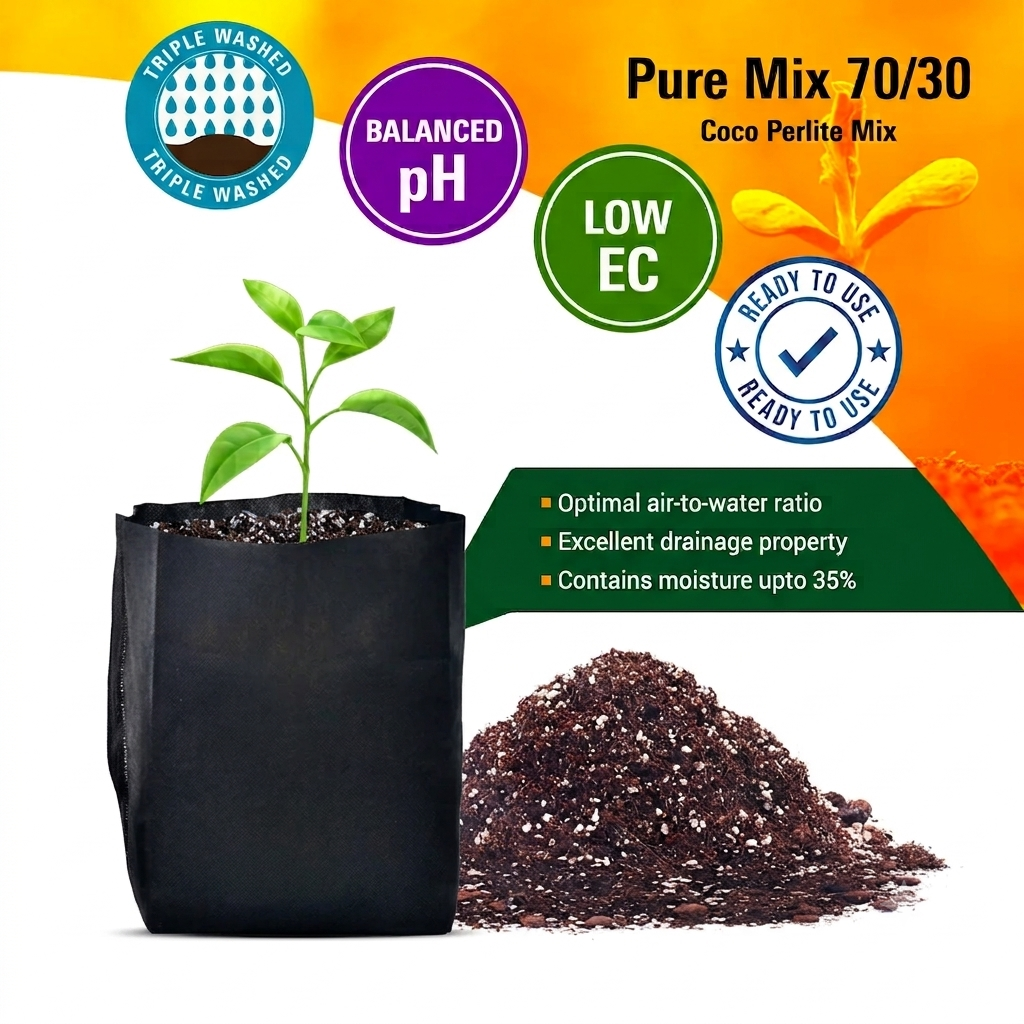 Prefill Features 