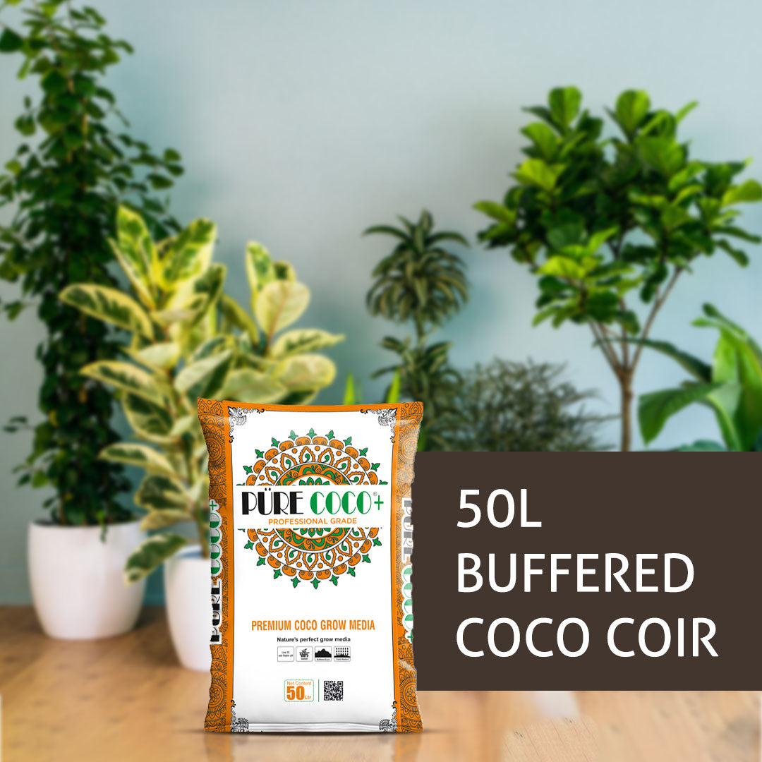 Coco Without Fillter Pure Coco® Plus 50L Buffered Coco coir – The Coco Depot