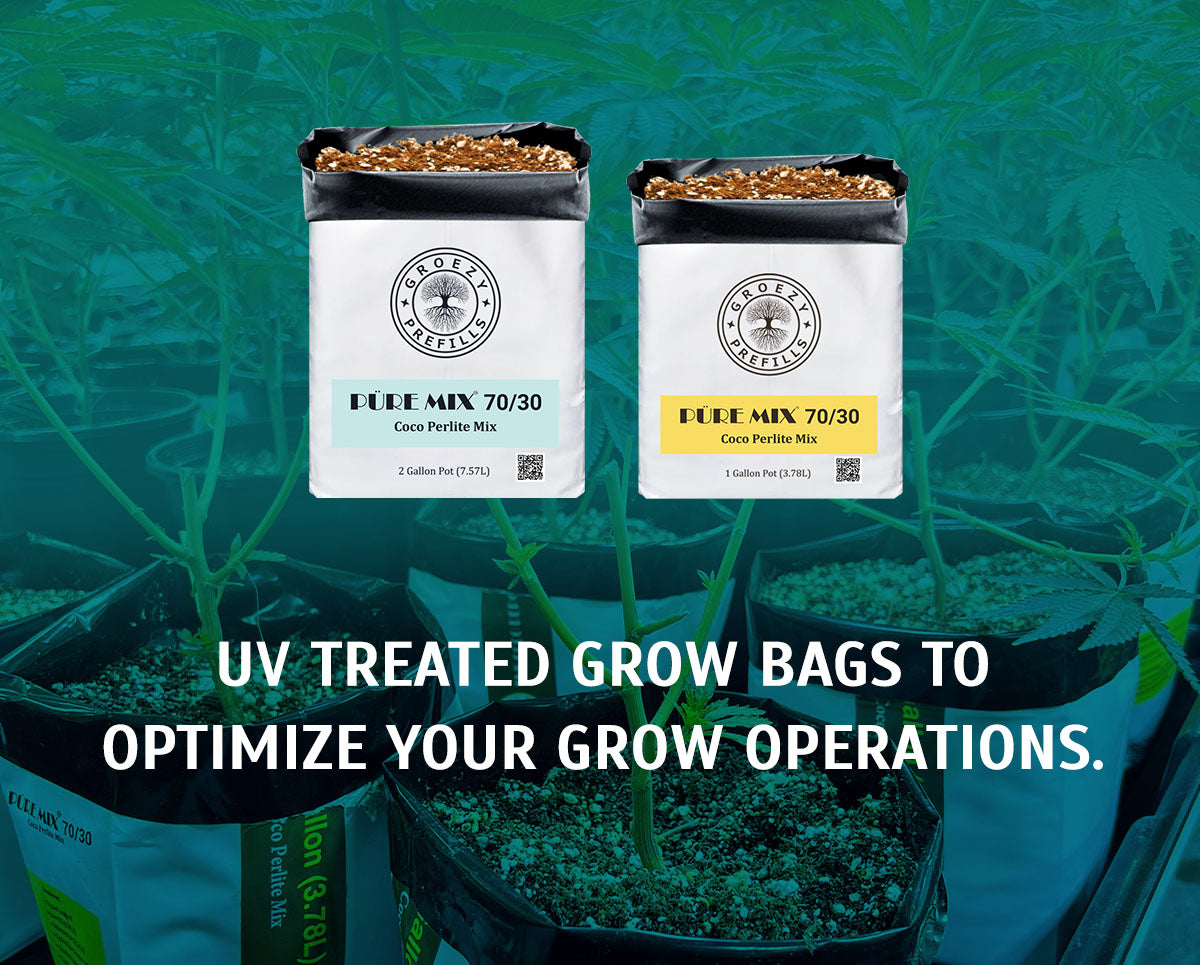 UV Treated Grow Bags 