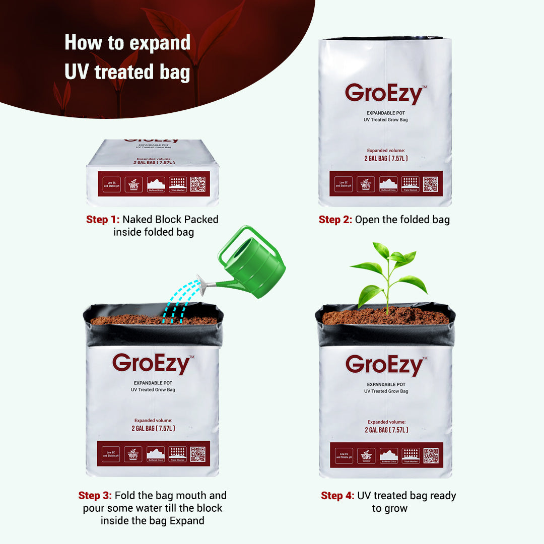 GroEzy™ 2 Gallon Expandable Pot in UV treated grow bag
