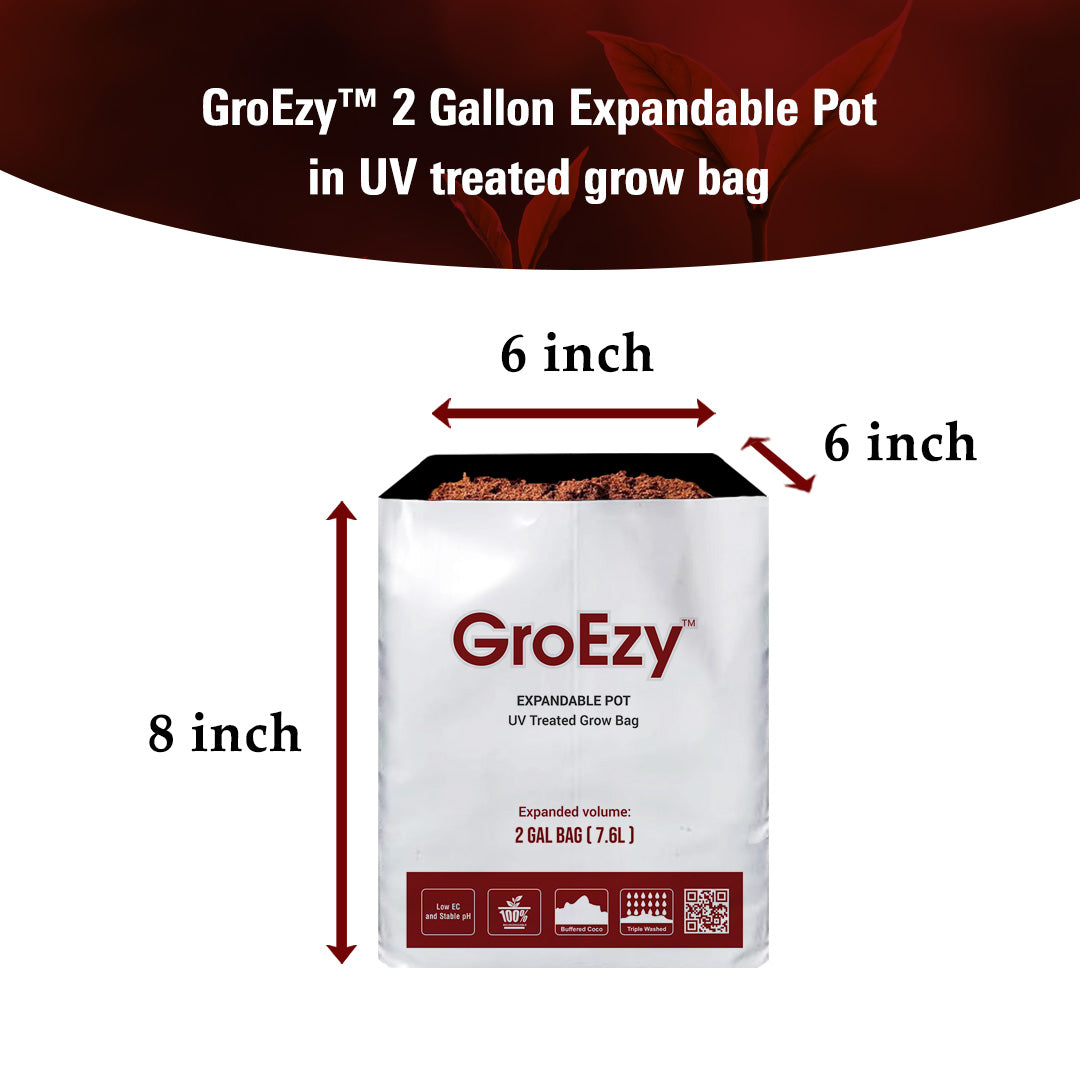 GroEzy™ 2 Gallon Expandable Pot in UV treated grow bag