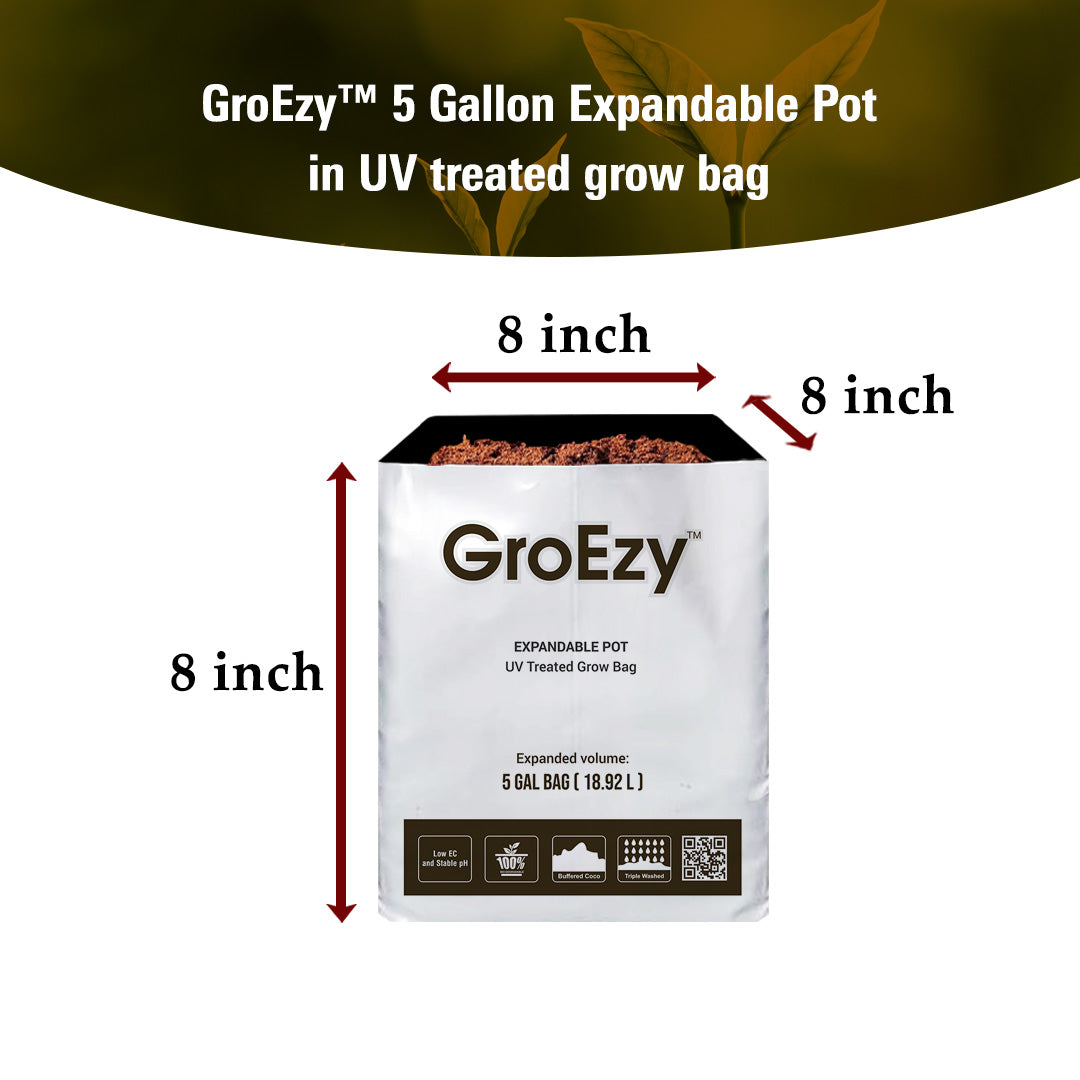 GroEzy™ 5 Gallon Expandable Pot in UV treated grow bag