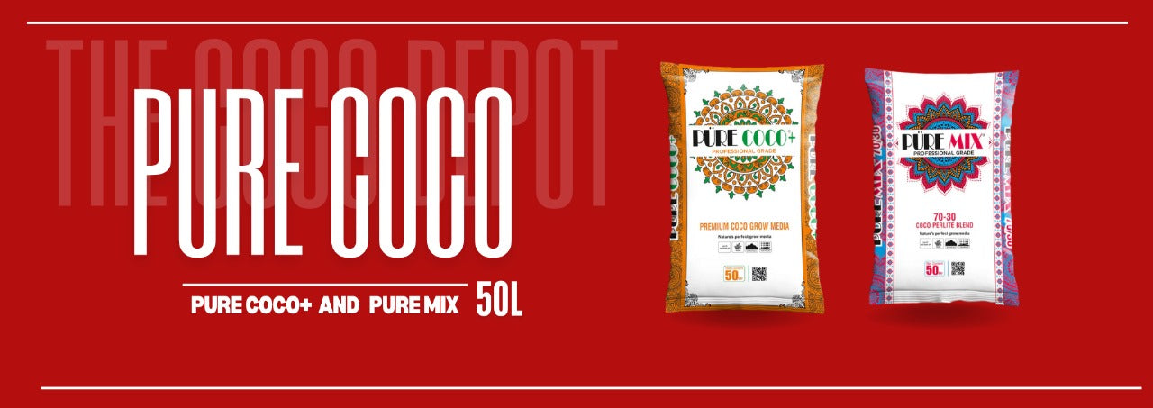 Pre coco and Pure mix