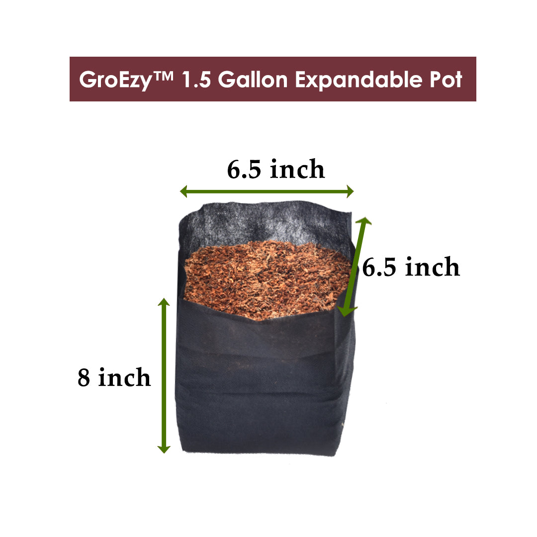 GroEzy™ 1.5 Gallon Expandable Pot