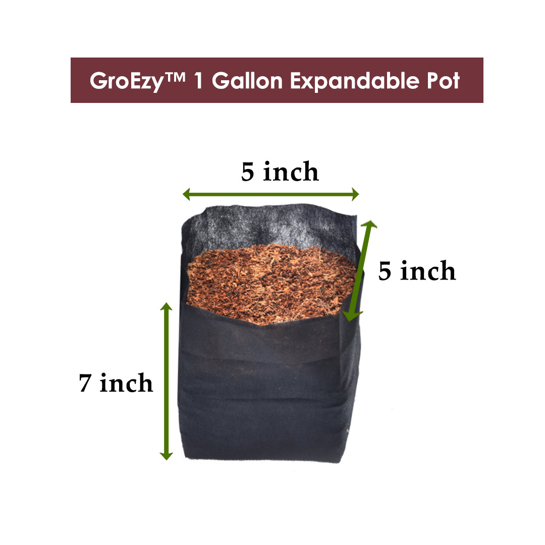 GroEzy™ 1 Gallon Expandable Pot