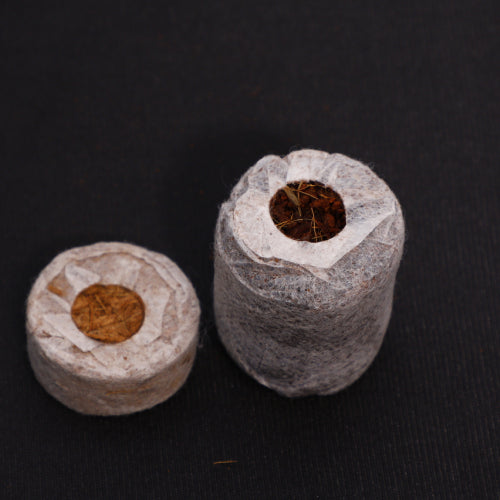 Pure Rooters - 30MM Coco Plugs/Pellets