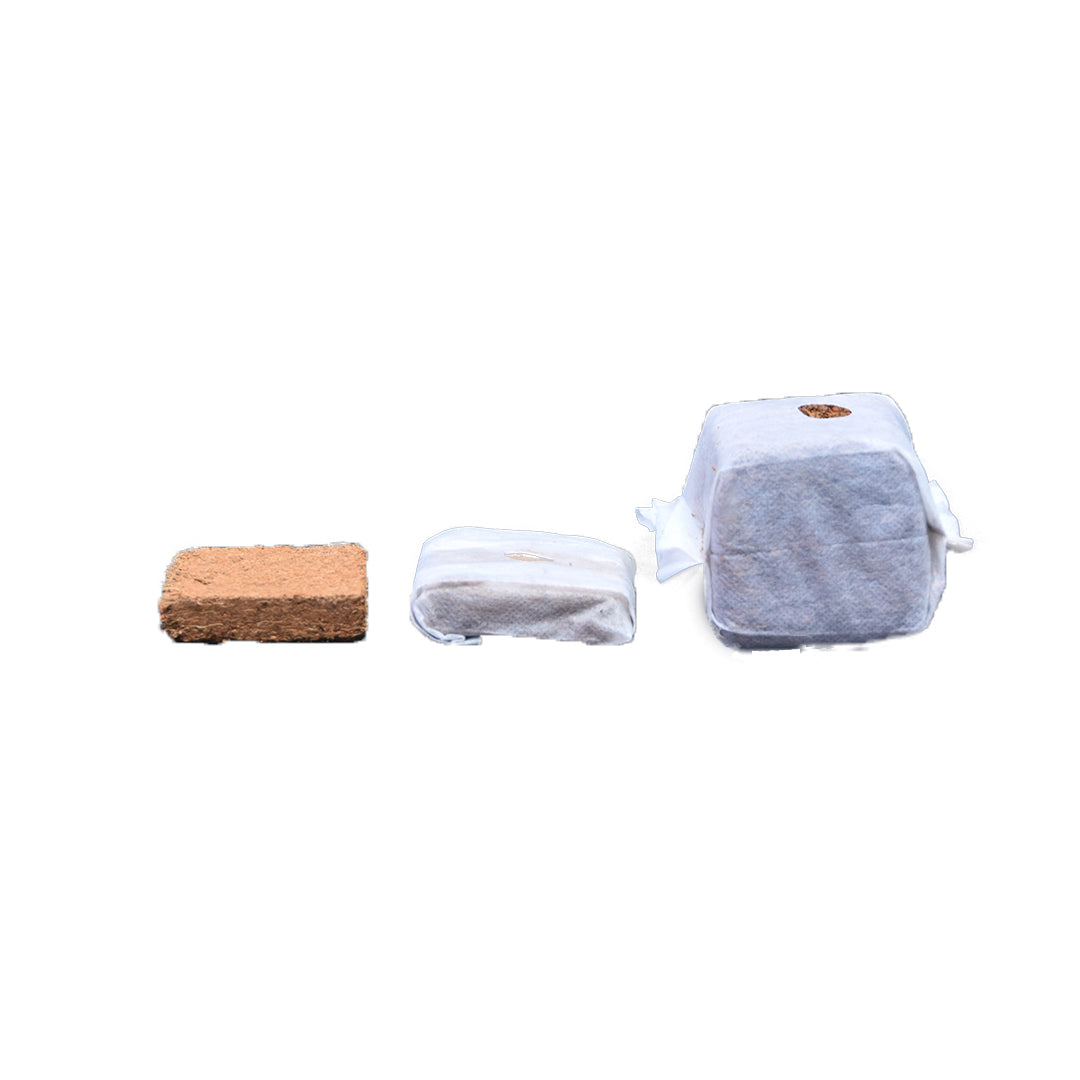 GroEzy™ 3" Coco Grow Cubes