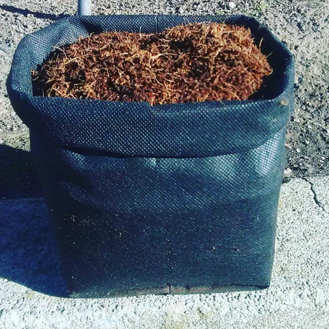 GroEzy™ - 1.5 Gallon Expandable Pot