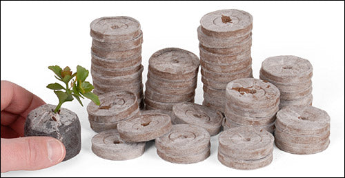 Pure Rooters - 42MM Coco Plugs/Pellets